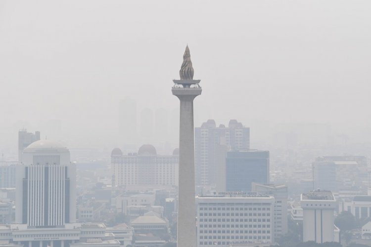 Putusan Bersejarah Usai Gugatan Kasus Pencemaran Udara Menang Di Pengadilan