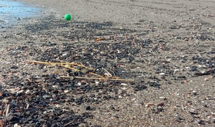 Pantai Ulee Lheue Banda Aceh Tercemar Tumpahan Batu Bara