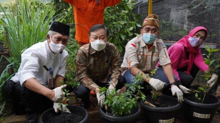 Upaya Kembangkan Kampung Herbal di Duren Tiga Jakarta Selatan, 200 Bibit Herbal Ditanam