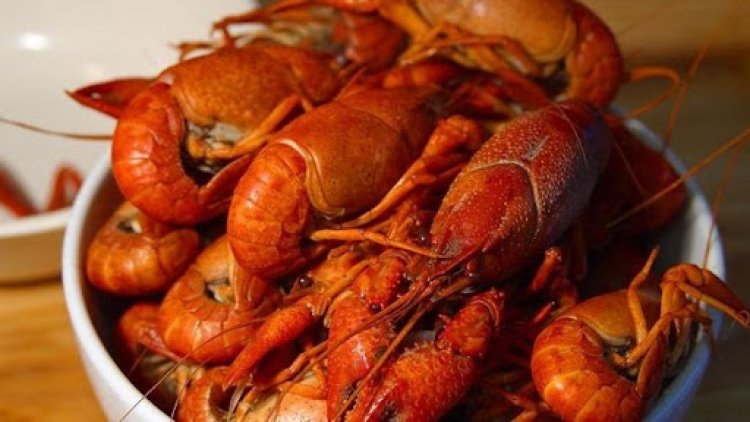Selain Nikmat, Ini yang Harus Kalian Tahu Tentang Lobster