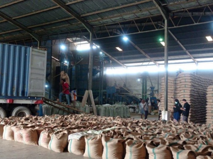 Indonesia Kembali Ekspor Kopi Seberat 120 Ton Ke Mesir