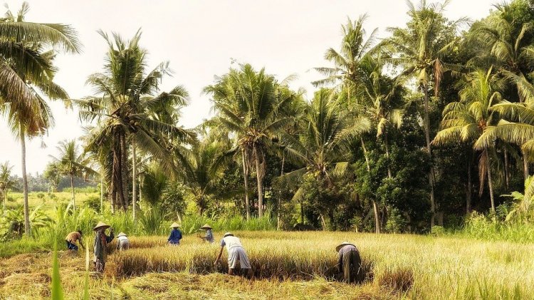 Kesedihan Warga Tuban Yang Jual Tanah Ke Pertamina, Dulu Miliarder, Kini Pengangguran
