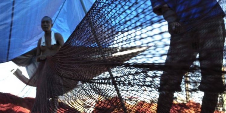 Siap – Siap! KKP Bakal Batasi Jumlah Ikan yang Boleh Ditangkap oleh Nelayan Indonesia