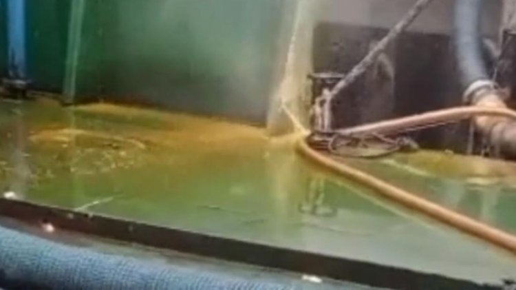 Polisi Pastikan Video Viral Minyak Goreng Tumpah Di Laut Hoaks