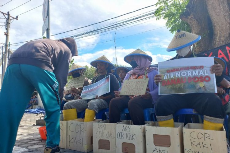 Petani Adat Danau Poso Gelar Aksi Cor Kaki, Protes Pabrik Kalla Group