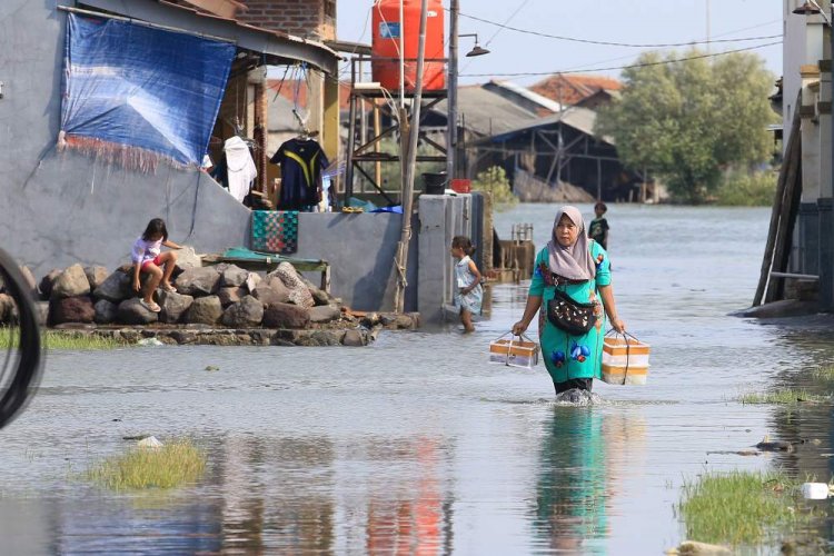 BMKG : Banjir Rob Pesisir Disebabkan Fenomena Perigee