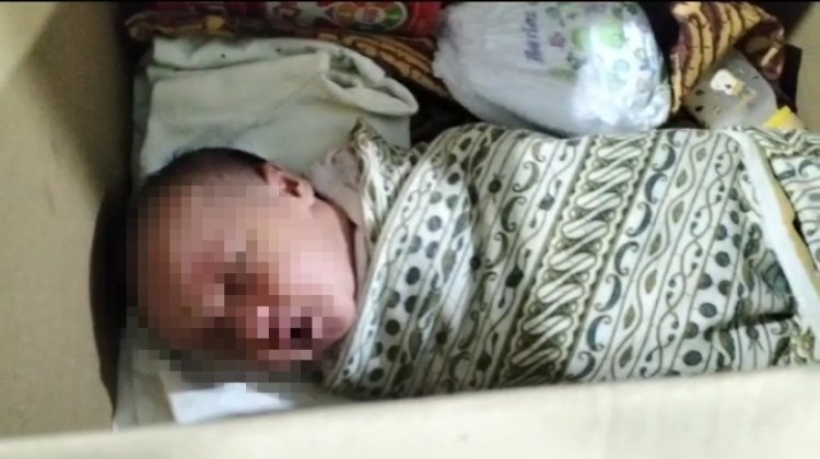 Geger! Penemuan Bayi Dalam Kardus di Lampung