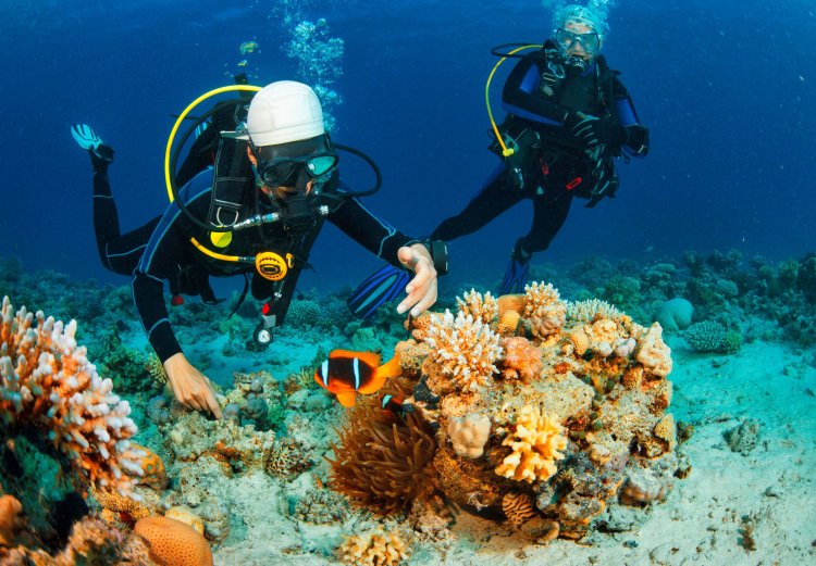 Bule Ogah Snorkeling di Nusa Penida Gegara Banyak Sampah