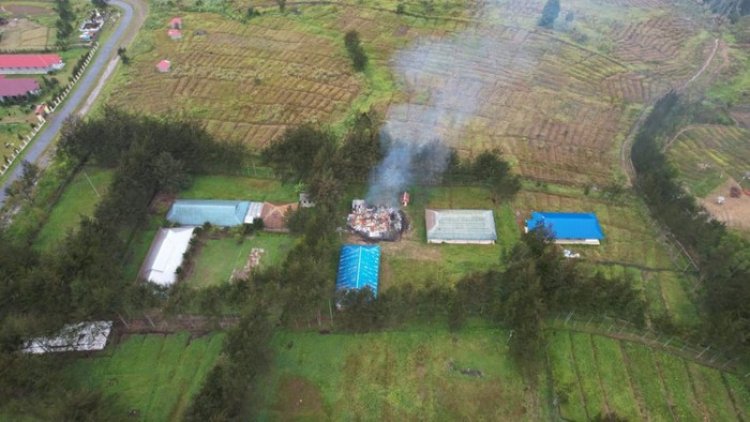 KKB Papua Bakar Perpustakaan Sekolah Saat HUT RI Ke-78