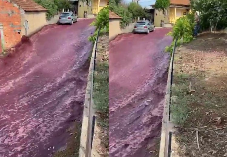 Viral! Video Desa Kebanjiran 2,2 Juta Liter Wine, Ini Penyebabnya!