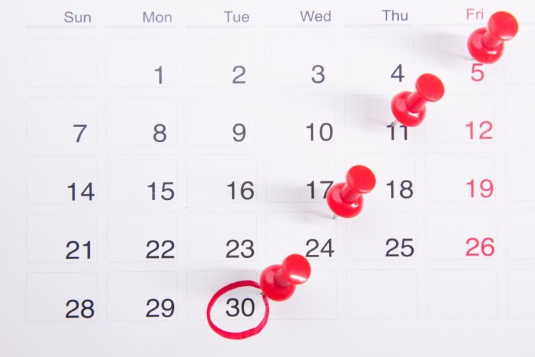 Jadwal Libur Siswa SD 2024: Daftar Hari Libur Nasional, Cuti Bersama, dan Libur Sekolah