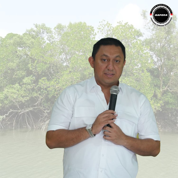 Presiden Jokowi Ajak Masyarakat Menanam Pohon Magrove, Fahd A Rafiq: Upaya Cegah Kenaikan Air Laut Akibat Perubahan Iklim