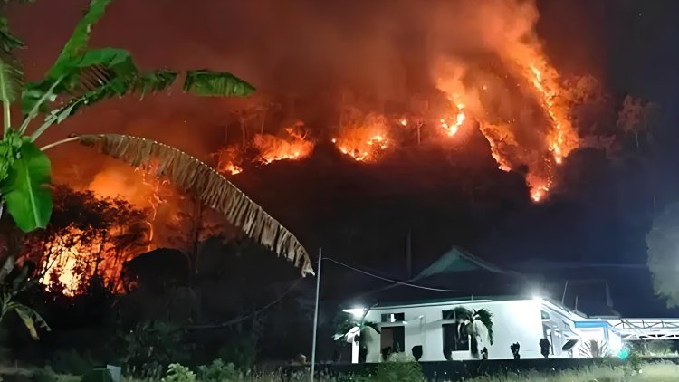 Kronologi dan Update Terkini Kebakaran Gunung Jayanti Sukabumi