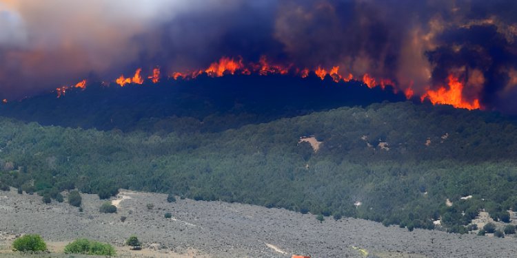 Kebakaran Gunung Merbabu di Jawa Tengah Capai 400 Hektar, Ratusan Warga Terpaksa Mengungsi