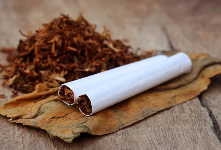 Produsen Minta Tembakau Dicoret dari RPP Kesehatan, Gimana Nasib Rokok?