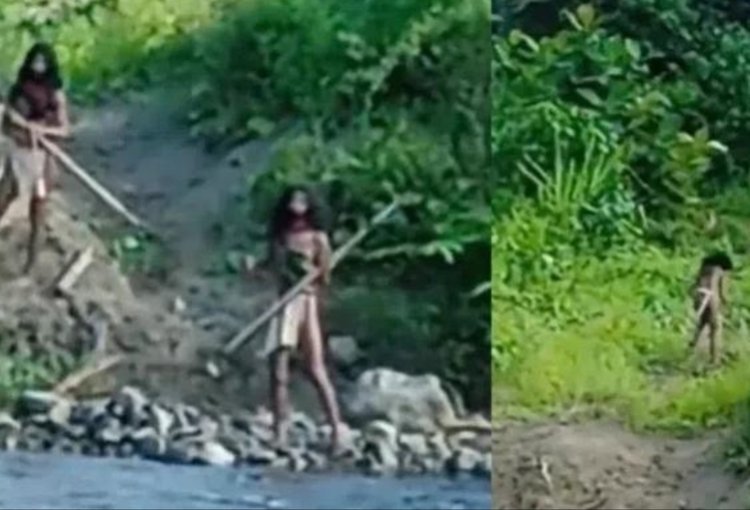 Viral Video Suku Pedalaman di Halmahera Halangi Buldoser Tambang Nikel