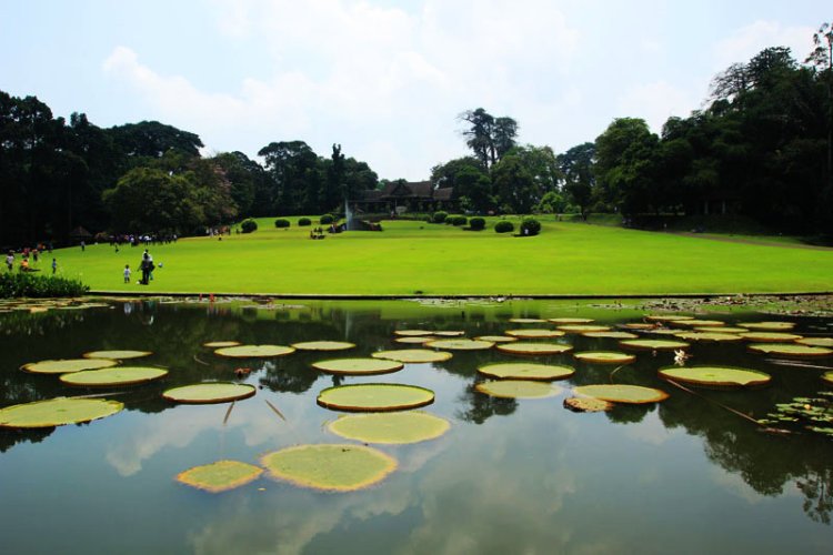 Kebun Raya Bogor