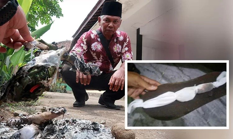 Teror Pocong Mini Hantui Warga Pasuruan, Warga: Sudah 10 Hari!