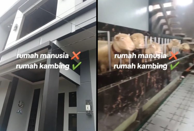 Rumah Mewah Kambing di Banjarnegara Viral, Bikin Geger Netizen!