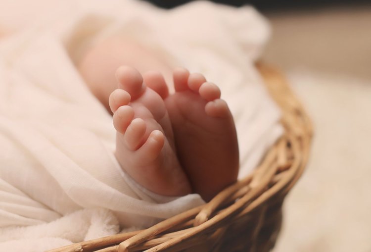 WNI Magang Ditangkap di Jepang Usai Melantarkan Bayi yang Baru Dilahirkannya Hingga Meninggal