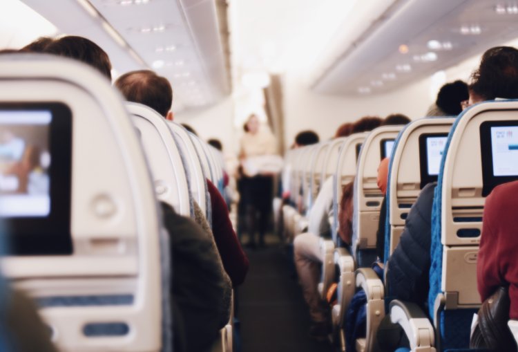 Maskapai Amerika Longgarkan Aturan untuk Terbang Bersama Hewan Kesayangan