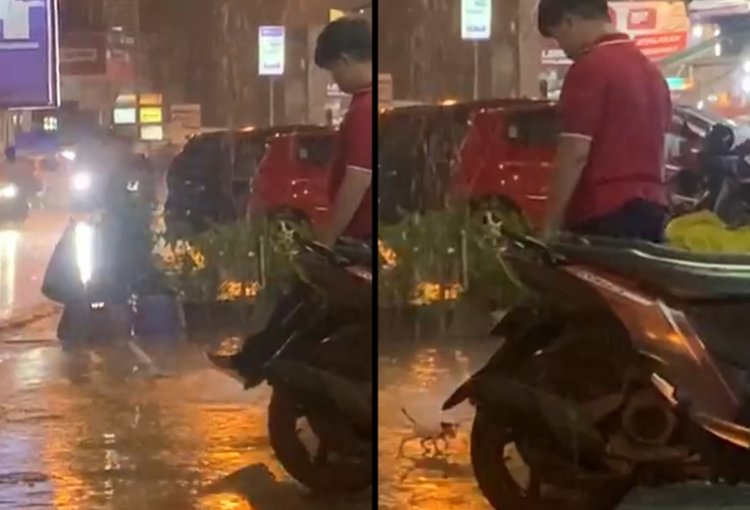 Viral Video Pria Tendang Anak Kucing Berkali-kali Saat Ingin Berteduh dari Hujan Deras