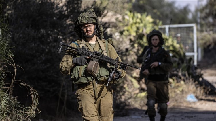 Tentara Israel Dikabarkan Terkena Ratusan Sengatan Tawon hingga Dirawat di ICU