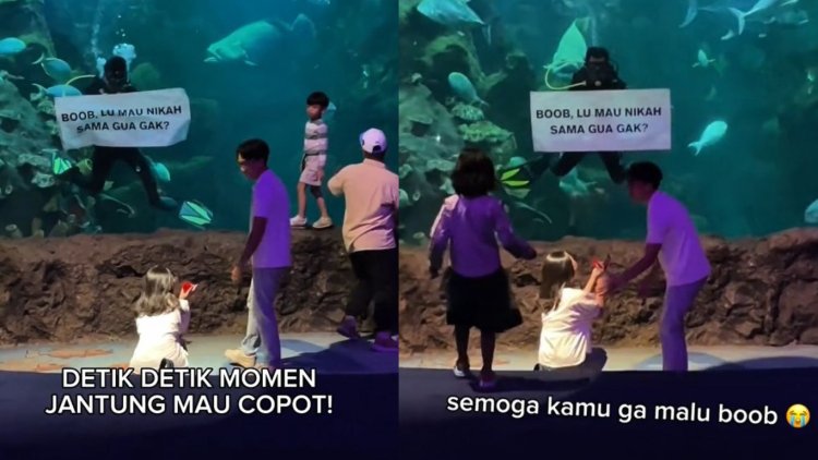 Viral Wanita Lamar Kekasihnya di Sea World Hingga Berlutut, Aksinya Banjir Komentar