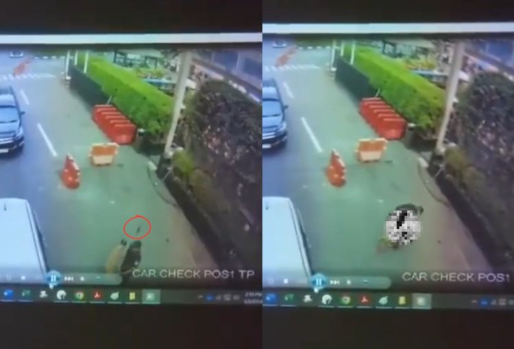 Rekaman CCTV Security di Mall yang Pukul Anjing, Ternyata Selamatkan Anak Kucing yang Diterkam