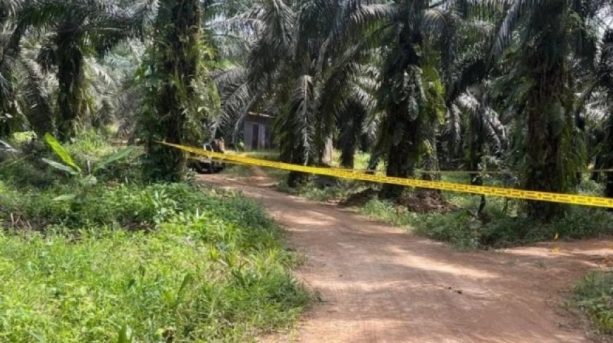 Pekerja Migran Asal Lombok Timur Tewas Diduga Tertembak di Kebun Sawit Malaysia