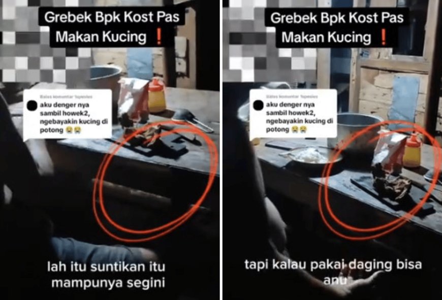 Viral! Bapak Kos Makan Kucing di Semarang untuk Obat Diabetes