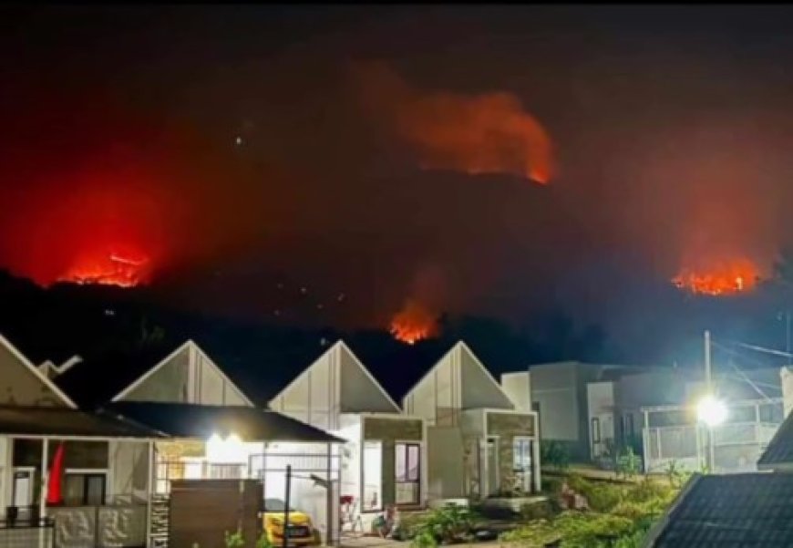 Gunung Guntur di Garut Kebakaran, Belasan Hektare Kawasan Hutan Hangus