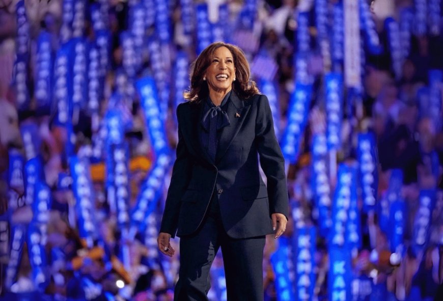 Kamala Harris Telah Resmi Jadi Capres AS dari Partai Demokrat