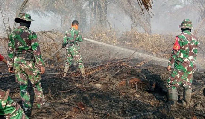 Kebakaran Hutan di Jambi, Seluas 927 Hektare Terbakar