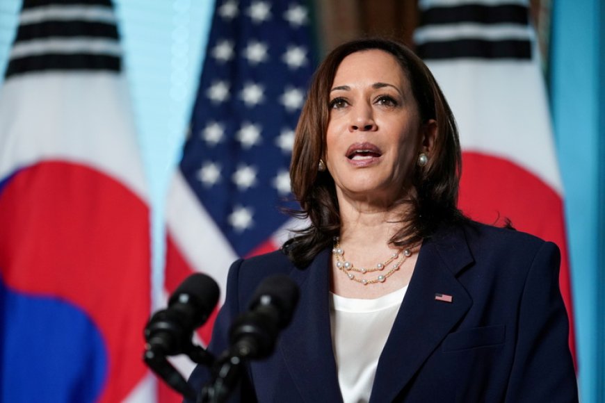 Kamala Harris Menolak Tegas Embargo Senjata ke Israel