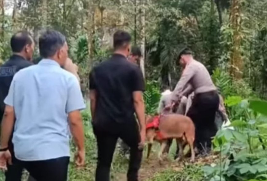 Pelaku yang Membunuh Penjual Gorengan di Padang Terungkap, Namun Masih Buron