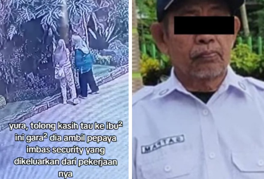 Satpam Tempat Wisata Dipecat, Diduga Gegara Buah Pepaya Dicuri Ibu-ibu