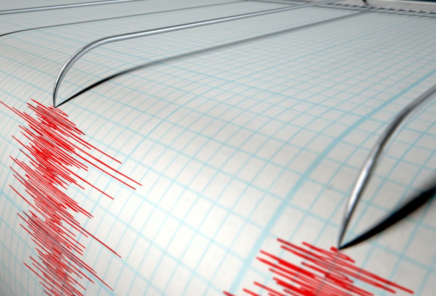 Gempa 5,6 M Guncang Morotai Maluku Utara, Warga Ngungsi ke Gunung