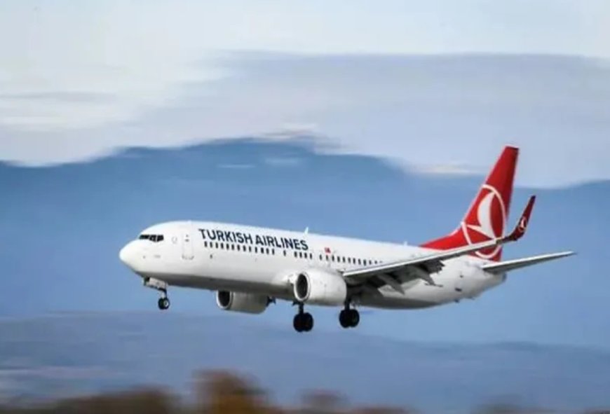 Pilot Turkish Airlines Tewas Mendadak Saat Terbang, Pesawat Mendarat Darurat