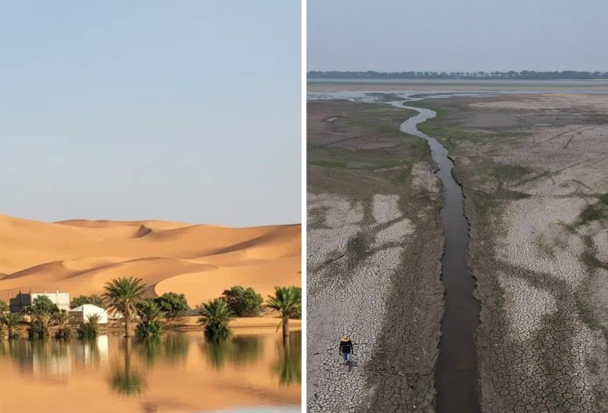 Pertama Kali dalam 50 Tahun Terakhir, Gurun Sahara di Maroko Banjir hingga Amazon Mengering