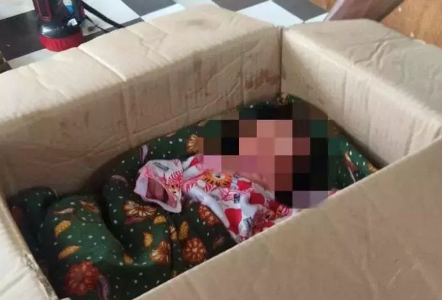 Bayi Baru Lahir Dibuang Orang Tuanya di Pinggir Jalan Pekanbaru, Ditemukan di Dalam Kardus Minyak Goreng