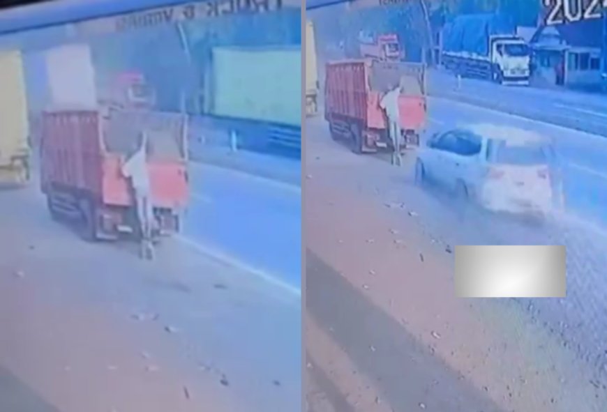 Lagi Perbaiki Lampu, Kaki Sopir Truk Dihajar Kencang Mobil di Batang