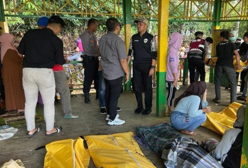 Pohon Tumbang di Situs Budaya Soppeng, 9 Pengunjung Meninggal Dunia