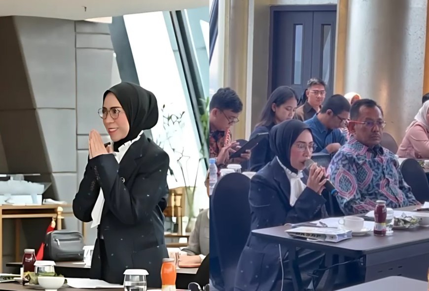 Melly Goeslaw Perjuangkan Hak Pendidikan Anak Palestina dalam Sidang DPR