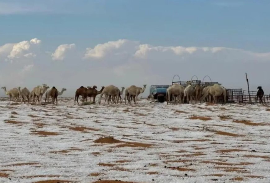 Fenomena Langka, Salju Turun di Gurun Al-Jawf Arab Saudi untuk Pertama Kalinya