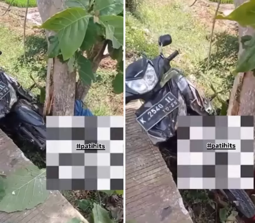 Viral Bocah SD Nyangkut di Pohon Akibat Cengtri Kebut-kebutan Naik Motor