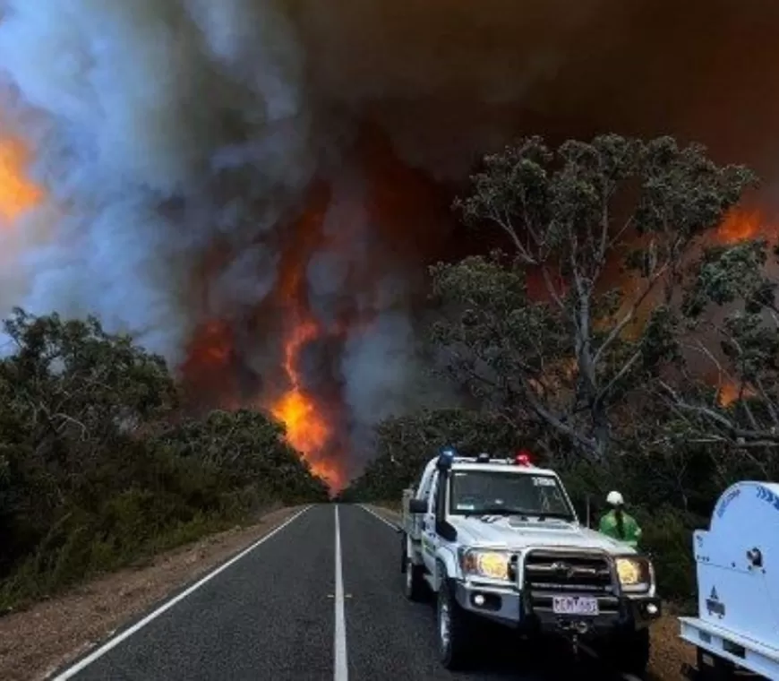 Kebakaran Hebat di Hutan Australia Hingga 74 Ribu Hektare, Seluas Singapura