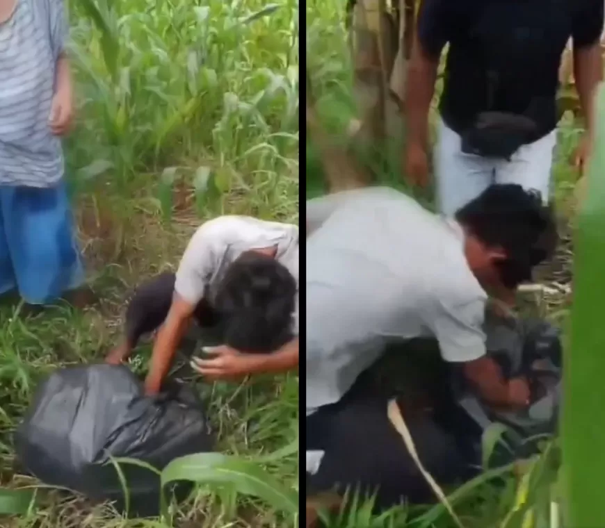 Nenek Diduga Diperkosa Pemuda di Medan, Korban Dirampas Rp132 Ribu dan Ditarik ke Kebun Jagung