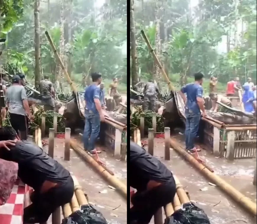 Pohon Setinggi 10 Meter Tumbang di Bali: 3 Orang Tewas, 6 Luka-luka