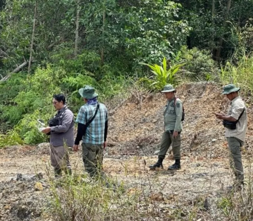 Kades dan Sekdes Nekat Jual 150 Hektar Hutan Nasional di Riau, Raup Untung Rp1,67 Miliar